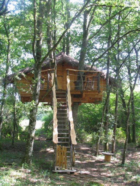 Vouzon Une Nuit Aux Lierres... מראה חיצוני תמונה